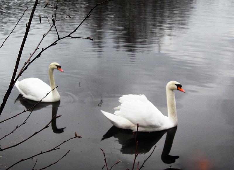 Winterwandeling-Kiewit (32).jpg